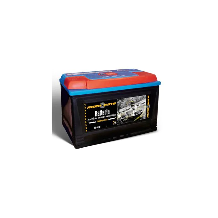 Pack moteur Endura C2 V2 Minn Kota – Image 5